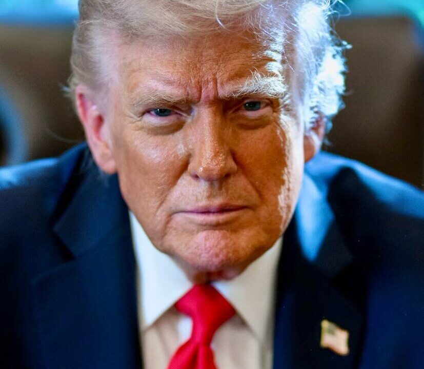 Official portrait of President Donald Trump