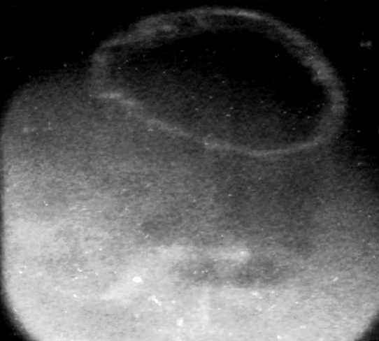 The Aurora You Cannot See From Earth, Photographed Whole